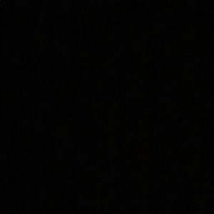 Meet your Posher, Ella